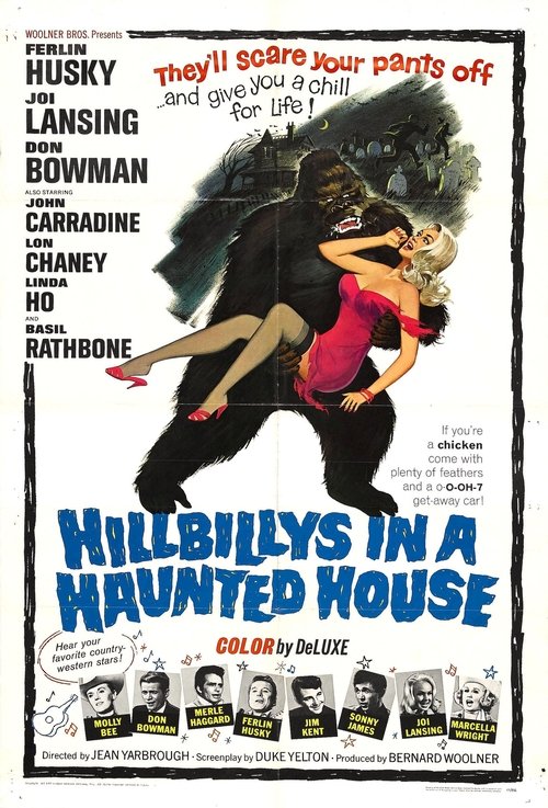 Hillbillys in a Haunted House poster