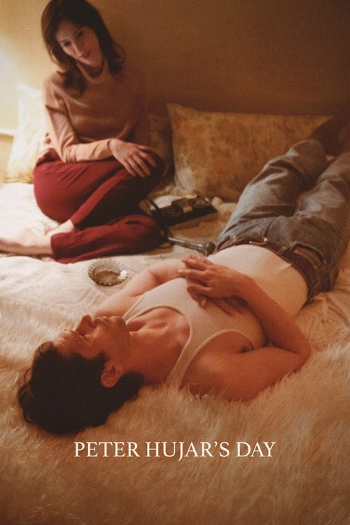 Peter Hujar's Day poster