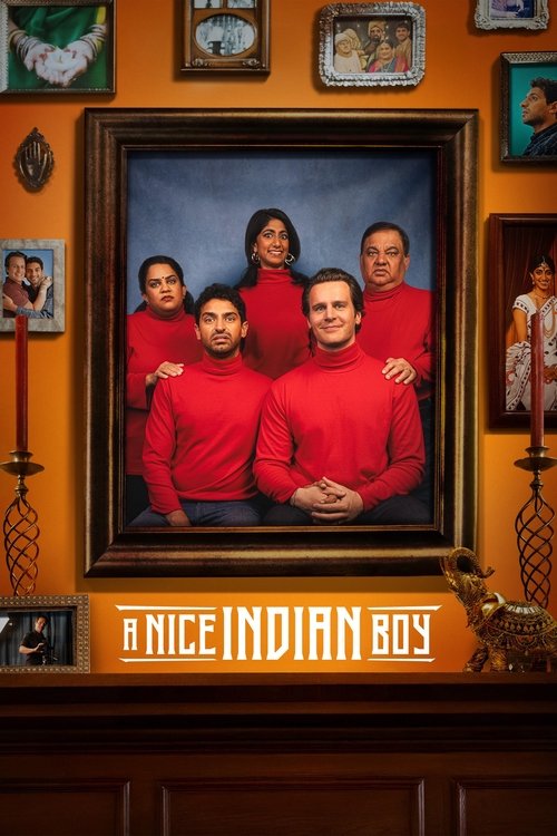 A Nice Indian Boy poster
