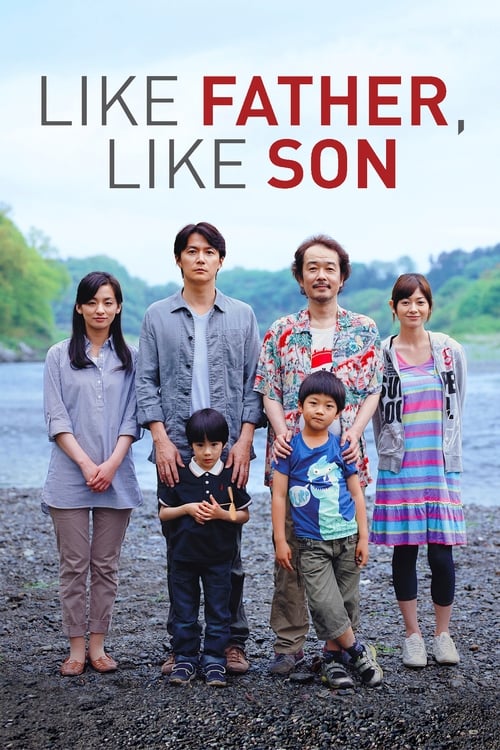 Like Father Like Son poster