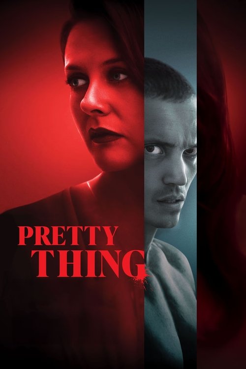 Pretty Thing poster